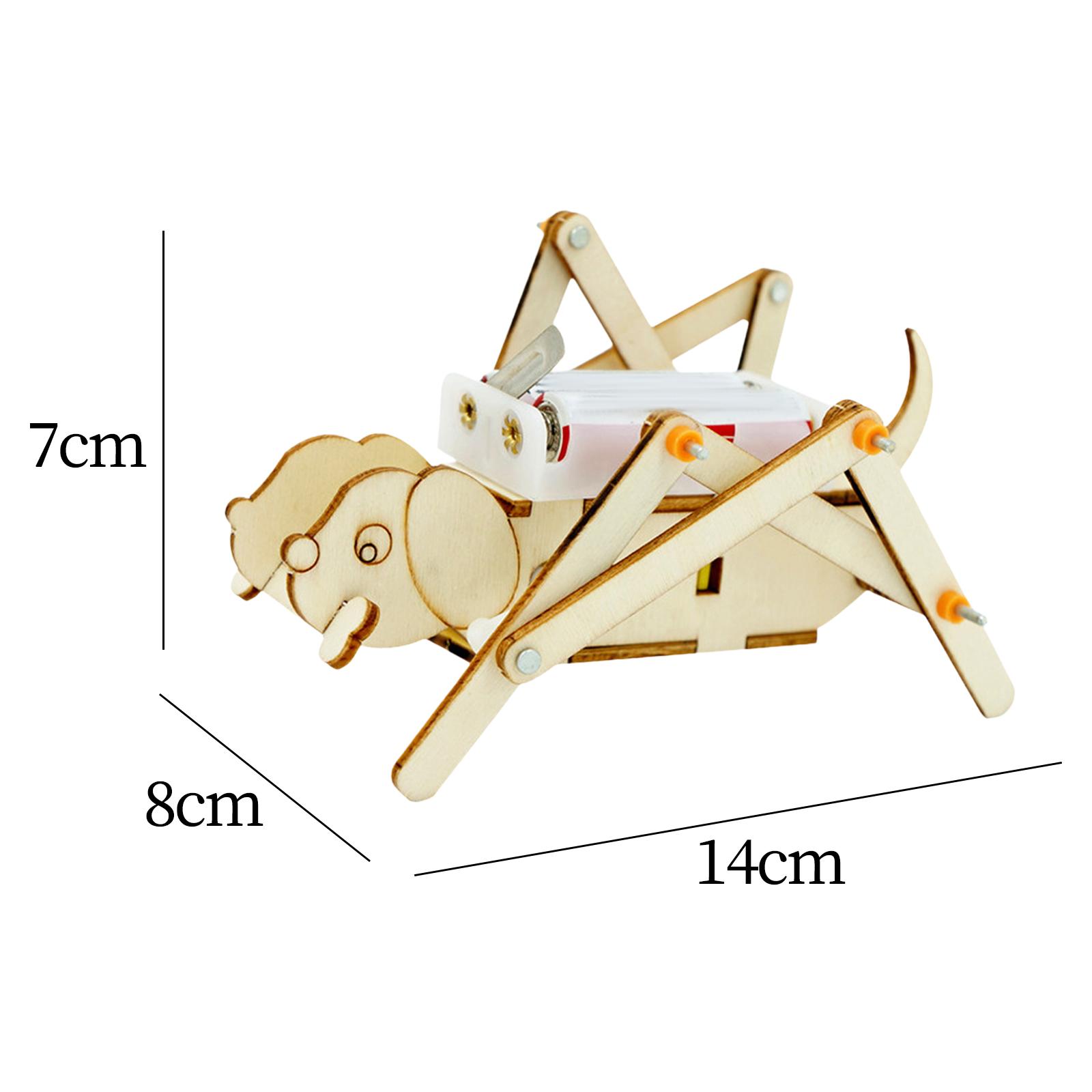 Set Model Kayu DIY Kit Sains,  - Science Project Toys Making ulasan dan harga
