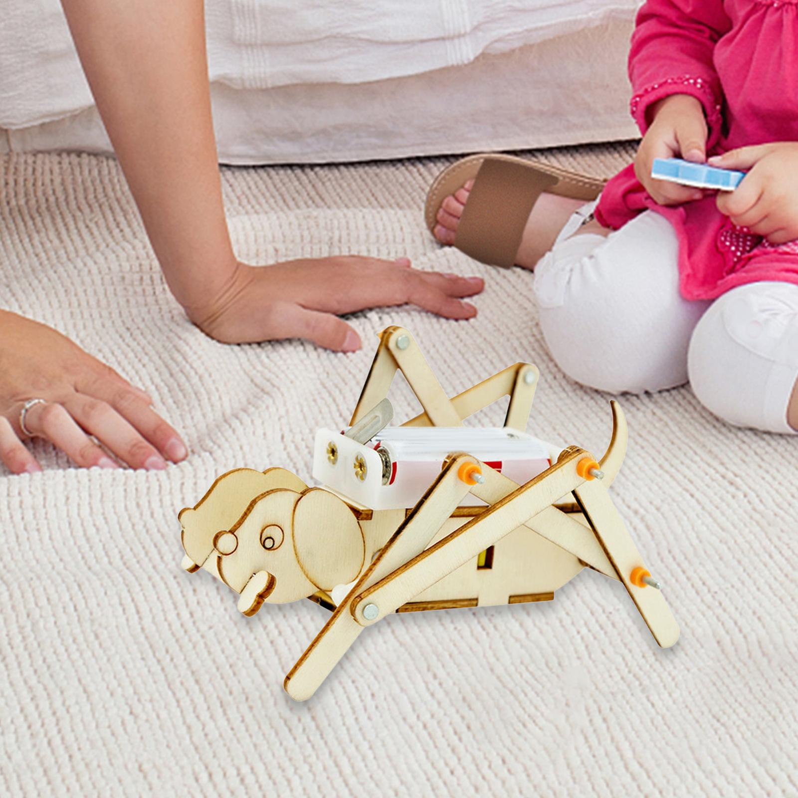 Set Model Kayu DIY Kit Sains,  - Science Project Toys Making ulasan dan harga